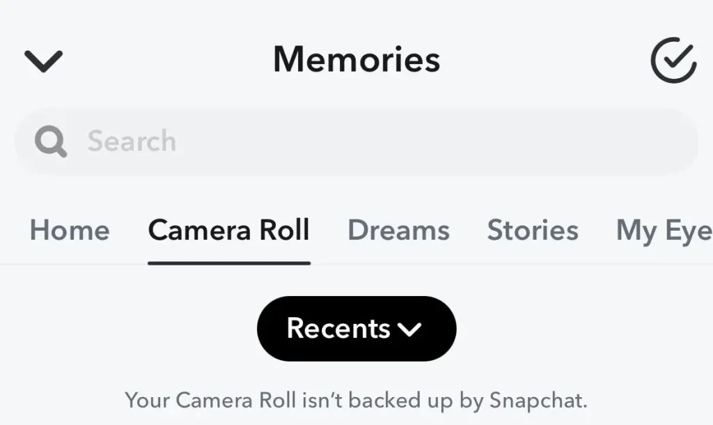 snapchat camera roll options